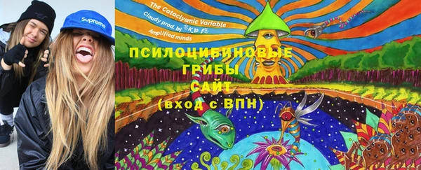 МДПВ Алзамай